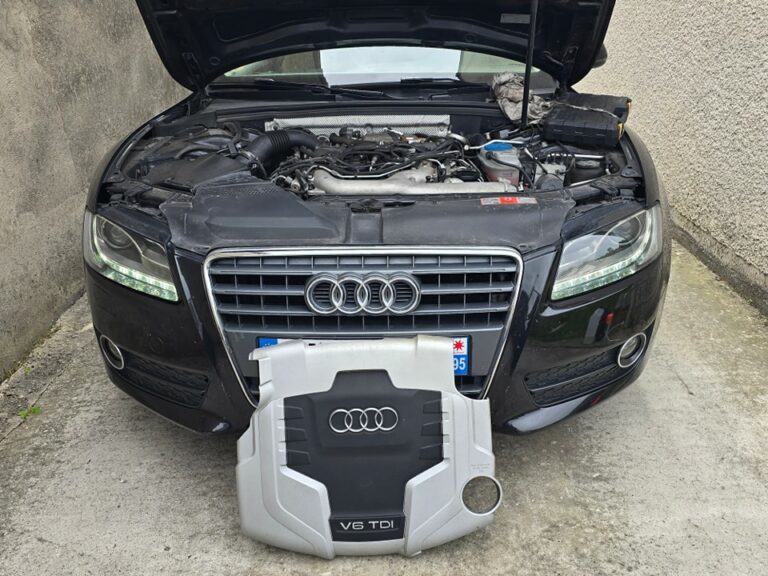 nettoyage du fap sur audi a51