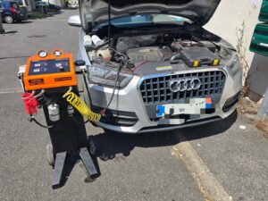 nettoyage fap sur audi q31